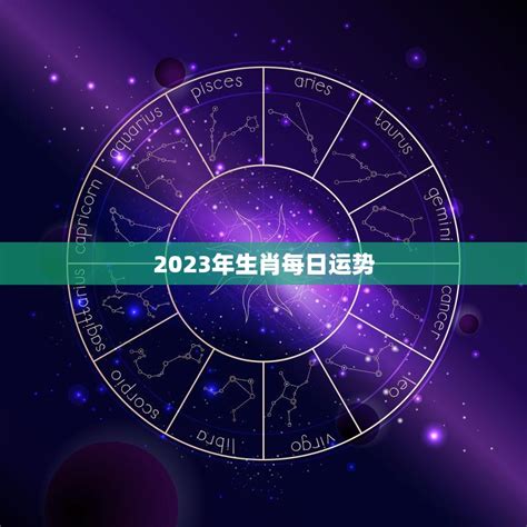 2023年属性|2023年生肖运势：2023年十二生肖运势详解、2023年属相运势